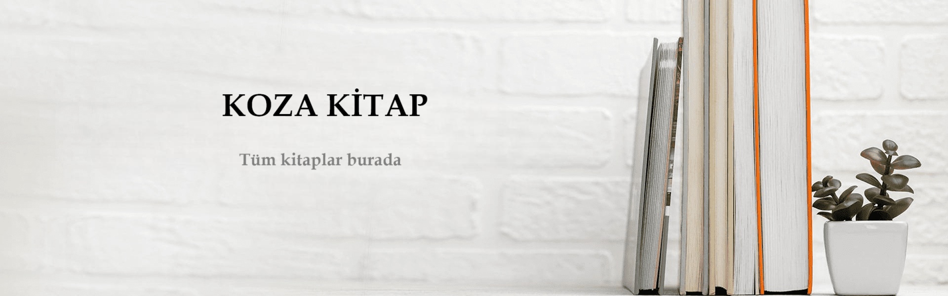 Tüm Kitaplar